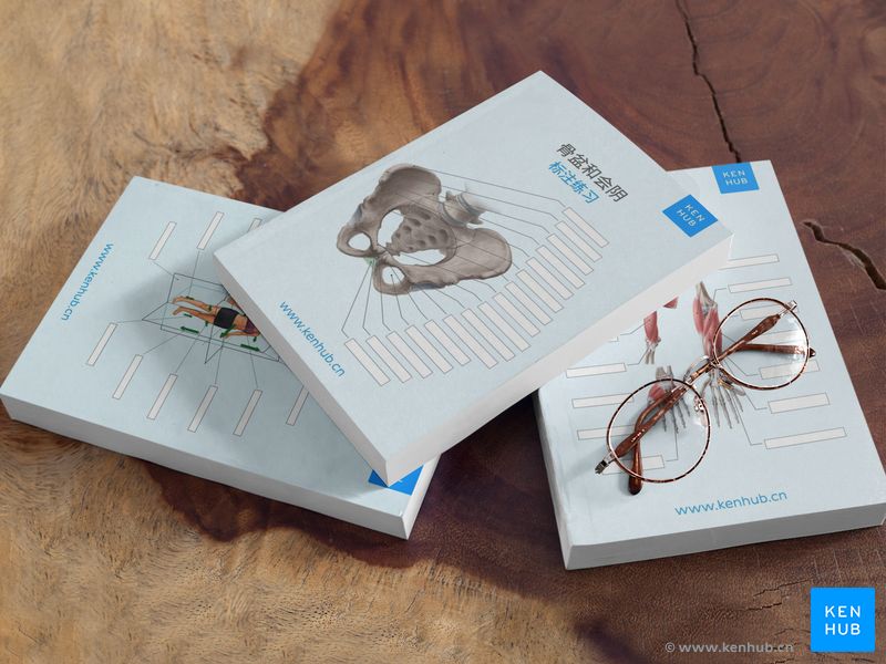 科纳博Kenhub标注练习