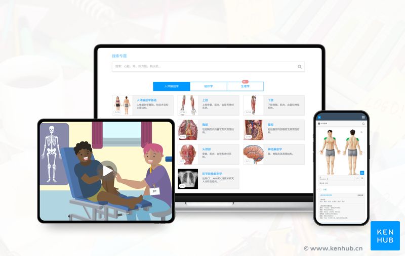 Kenhub的优势：充分利用我们的解剖学工具 | 科纳博Kenhub